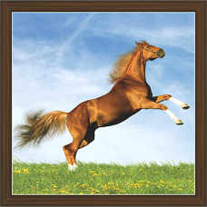 Horse Paintings (HS-3420)